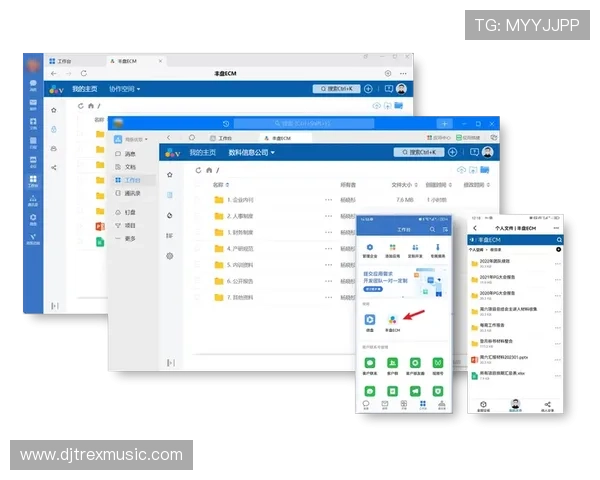 letou瑞丰线路检测技术详解及其在网络维护中的重要作用