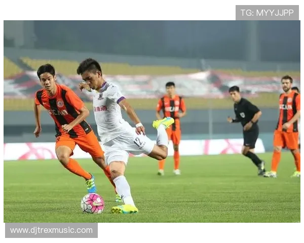 883体育频道如何打造专业体育直播平台，提升观众体验